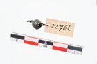 Foto von Bronzering (NHMW-PRAE-025768)